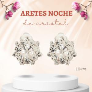 Aretes de noche plateados con cristales