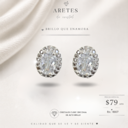 Aretes chicos plateados para mujer de cubic zirconia. Ideales para lucir hermosa en cualquier ocasión. Elegancia + brillo en un solo accesorio. ¡Pide los tuyos!